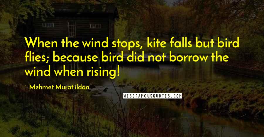 Mehmet Murat Ildan Quotes: When the wind stops, kite falls but bird flies; because bird did not borrow the wind when rising!