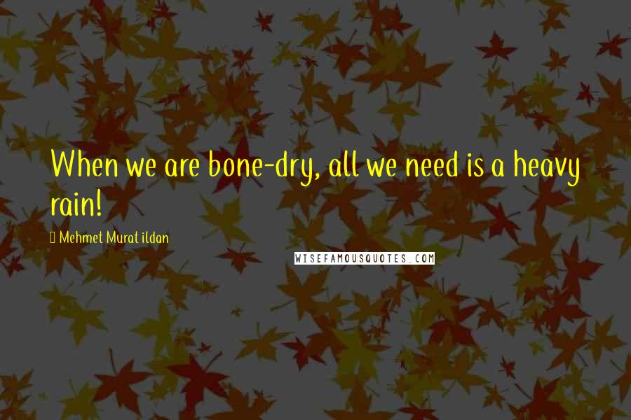 Mehmet Murat Ildan Quotes: When we are bone-dry, all we need is a heavy rain!