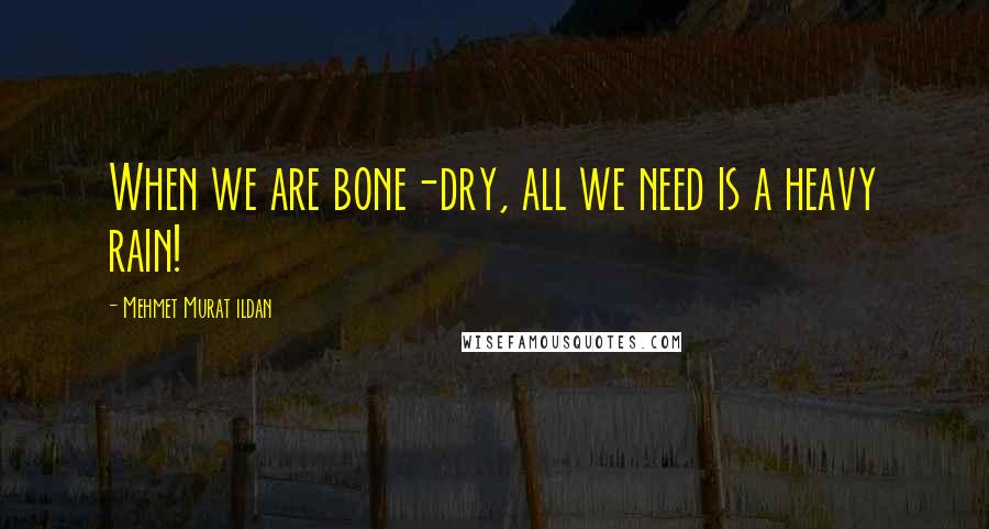 Mehmet Murat Ildan Quotes: When we are bone-dry, all we need is a heavy rain!