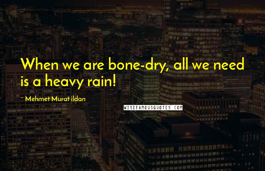 Mehmet Murat Ildan Quotes: When we are bone-dry, all we need is a heavy rain!