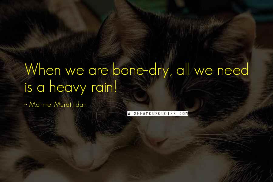 Mehmet Murat Ildan Quotes: When we are bone-dry, all we need is a heavy rain!