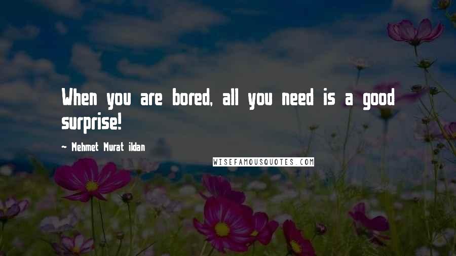 Mehmet Murat Ildan Quotes: When you are bored, all you need is a good surprise!