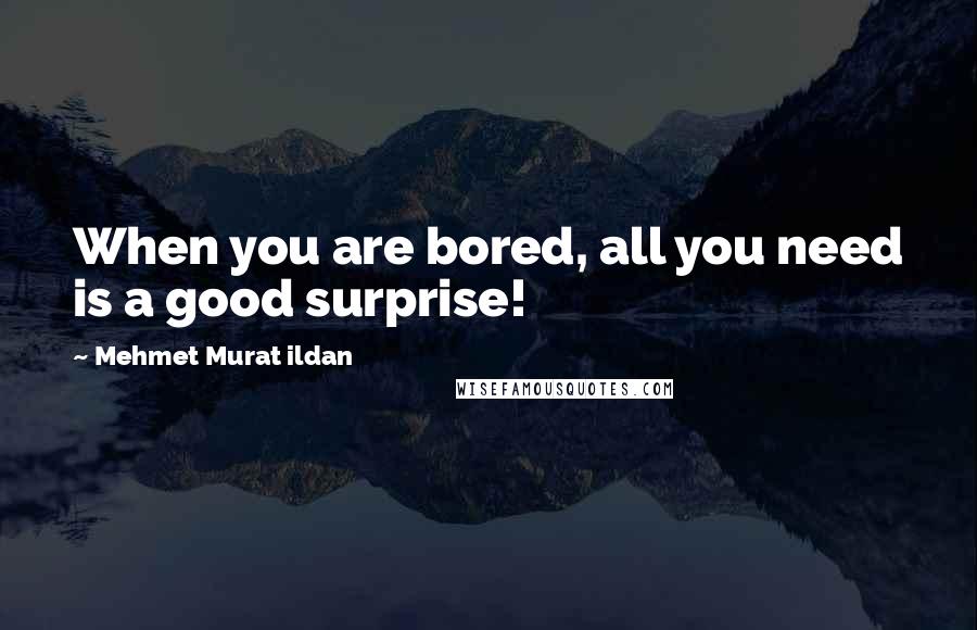 Mehmet Murat Ildan Quotes: When you are bored, all you need is a good surprise!