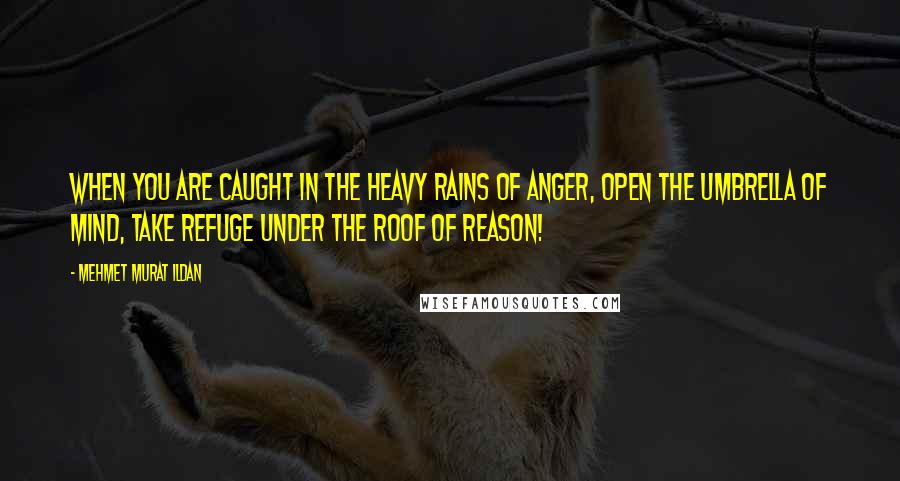 Mehmet Murat Ildan Quotes: When you are caught in the heavy rains of anger, open the umbrella of mind, take refuge under the roof of reason!