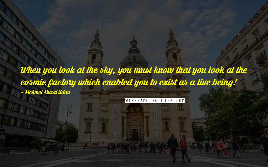 Mehmet Murat Ildan Quotes: When you look at the sky, you must know that you look at the cosmic factory which enabled you to exist as a live being!