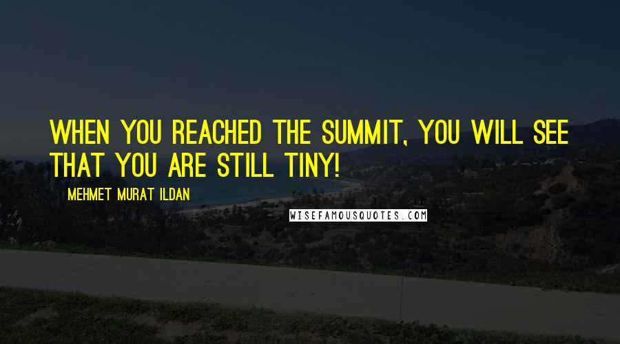 Mehmet Murat Ildan Quotes: When you reached the summit, you will see that you are still tiny!