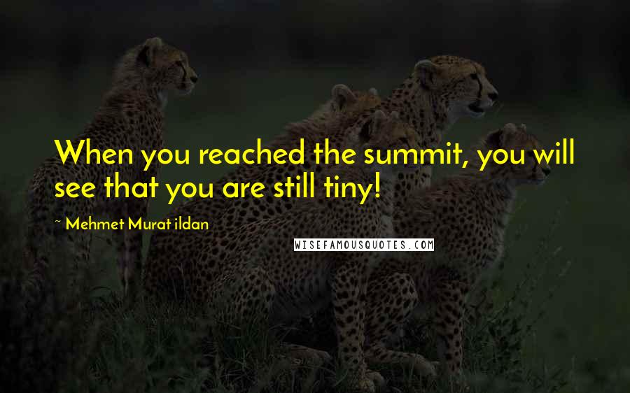 Mehmet Murat Ildan Quotes: When you reached the summit, you will see that you are still tiny!