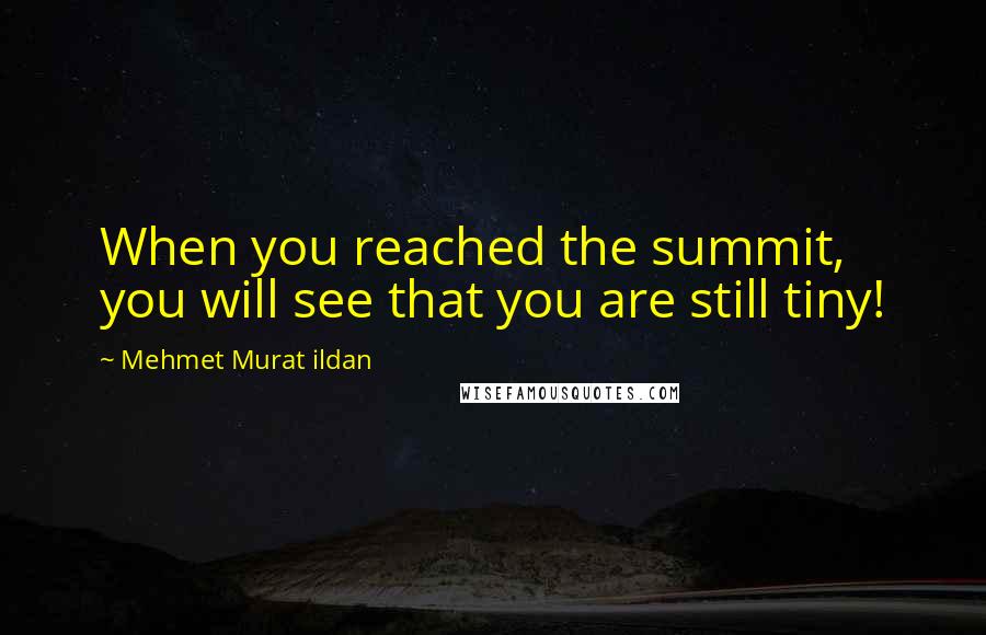 Mehmet Murat Ildan Quotes: When you reached the summit, you will see that you are still tiny!