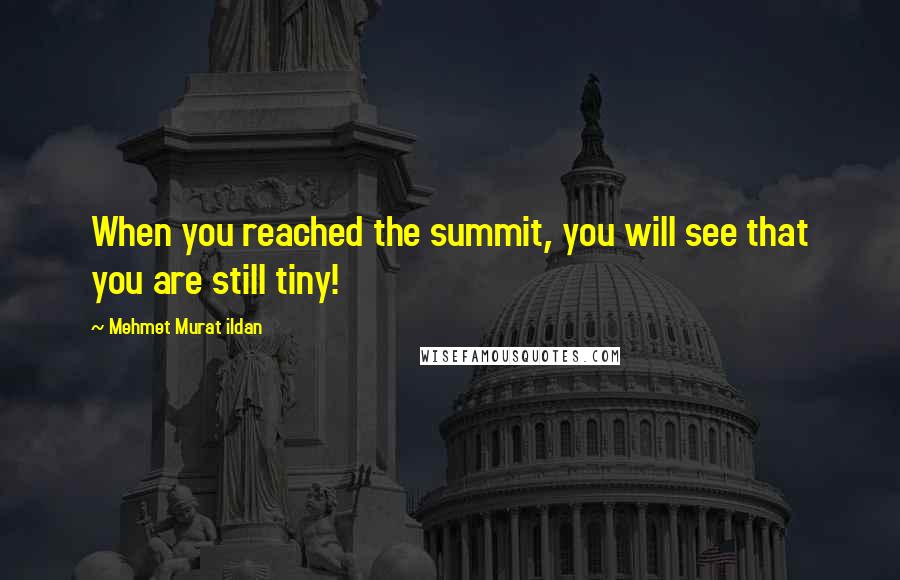 Mehmet Murat Ildan Quotes: When you reached the summit, you will see that you are still tiny!