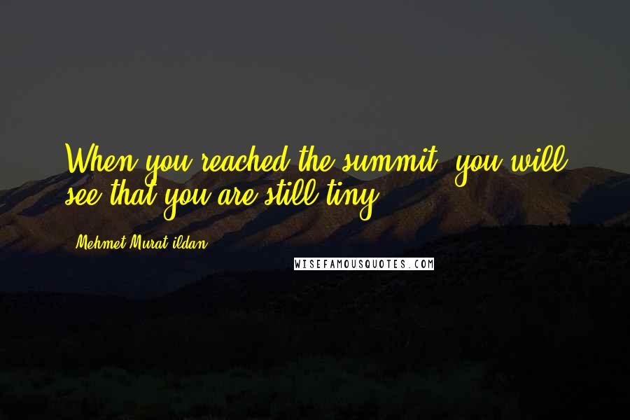 Mehmet Murat Ildan Quotes: When you reached the summit, you will see that you are still tiny!