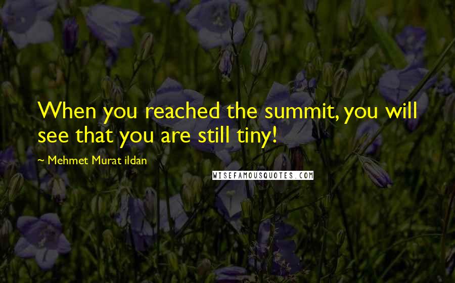 Mehmet Murat Ildan Quotes: When you reached the summit, you will see that you are still tiny!