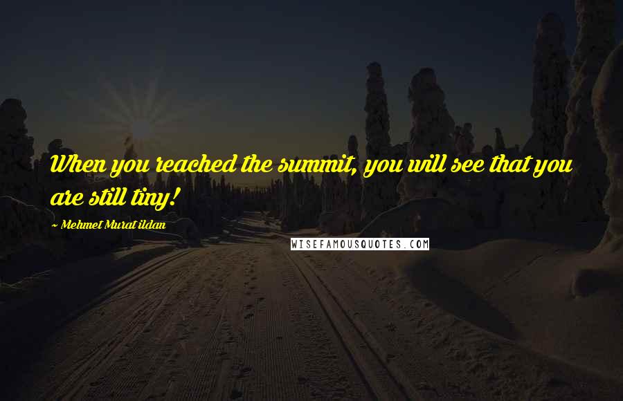 Mehmet Murat Ildan Quotes: When you reached the summit, you will see that you are still tiny!