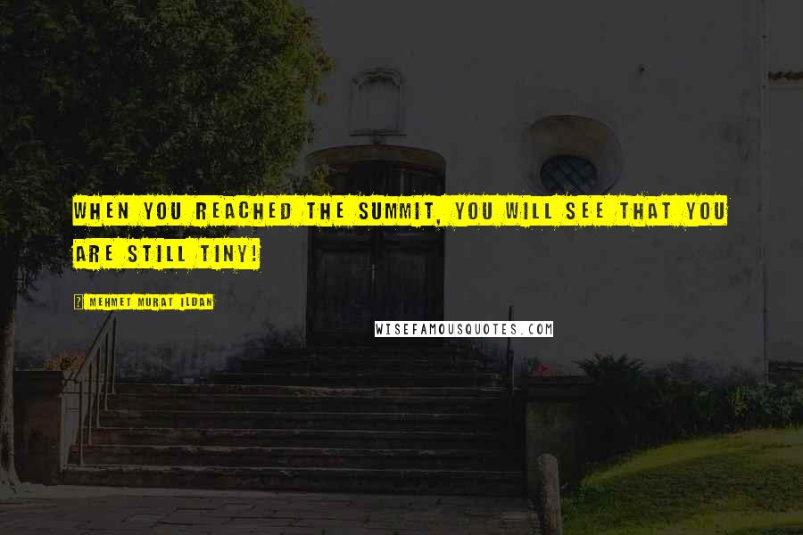 Mehmet Murat Ildan Quotes: When you reached the summit, you will see that you are still tiny!