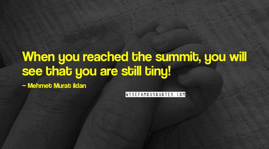 Mehmet Murat Ildan Quotes: When you reached the summit, you will see that you are still tiny!