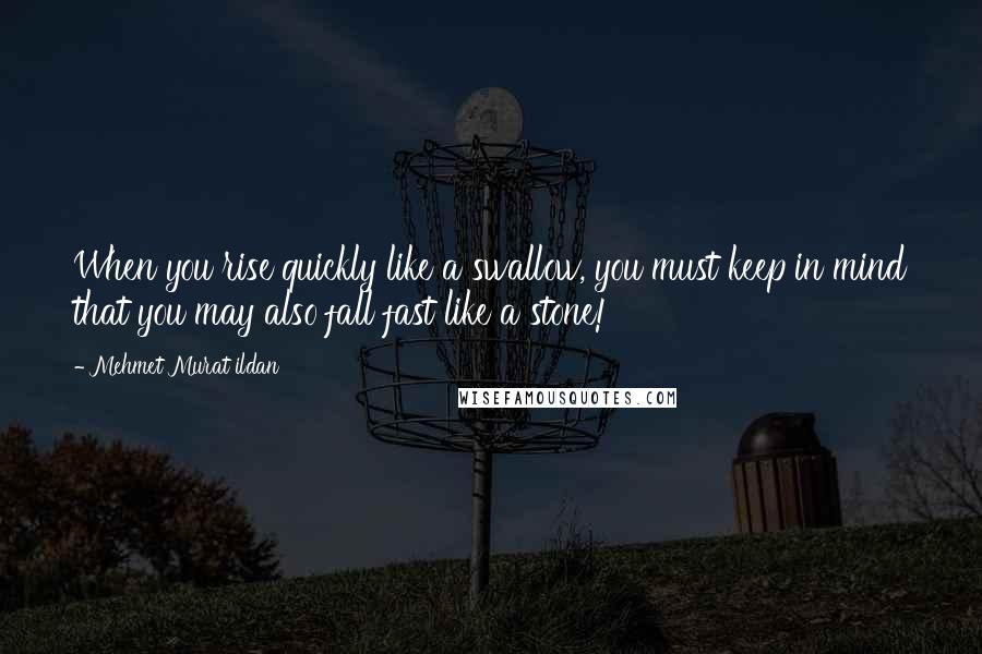 Mehmet Murat Ildan Quotes: When you rise quickly like a swallow, you must keep in mind that you may also fall fast like a stone!