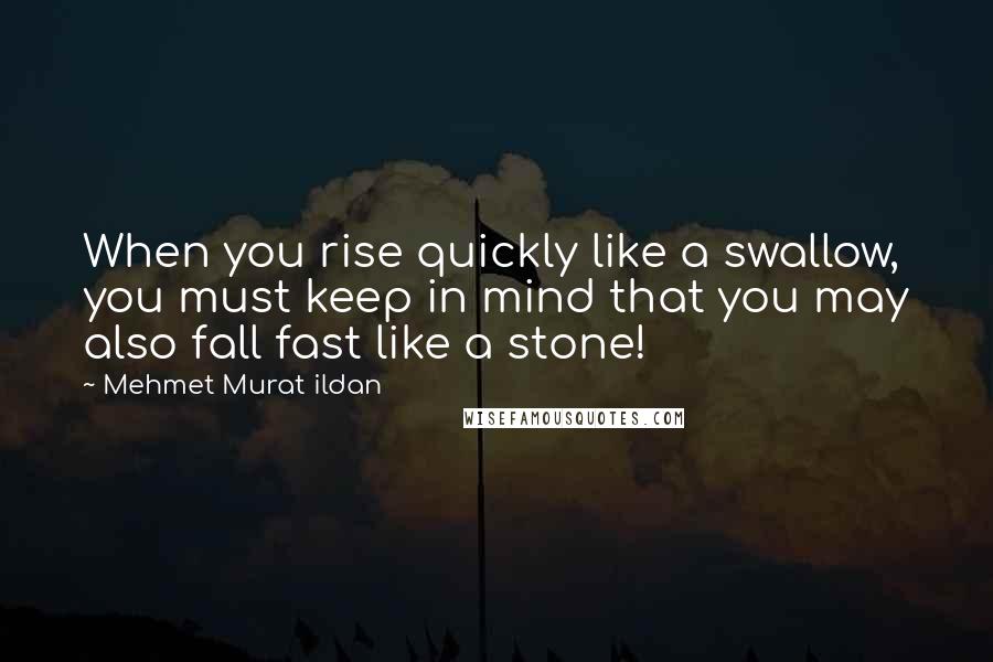 Mehmet Murat Ildan Quotes: When you rise quickly like a swallow, you must keep in mind that you may also fall fast like a stone!