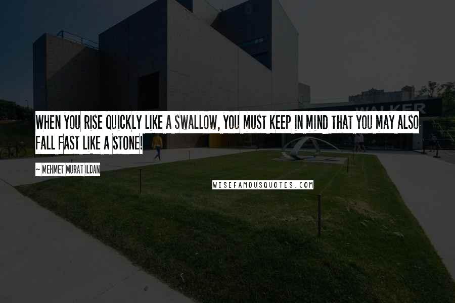 Mehmet Murat Ildan Quotes: When you rise quickly like a swallow, you must keep in mind that you may also fall fast like a stone!