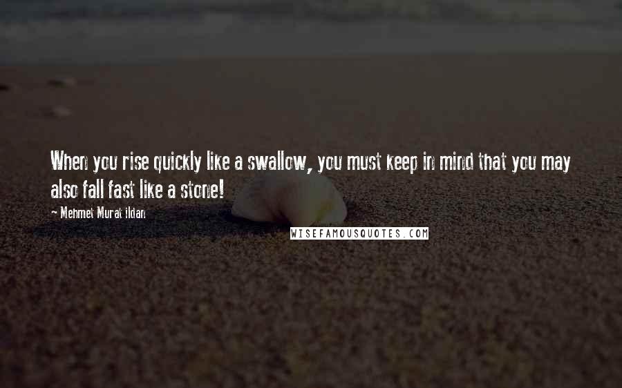 Mehmet Murat Ildan Quotes: When you rise quickly like a swallow, you must keep in mind that you may also fall fast like a stone!