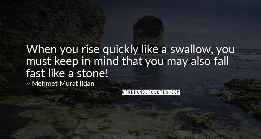 Mehmet Murat Ildan Quotes: When you rise quickly like a swallow, you must keep in mind that you may also fall fast like a stone!