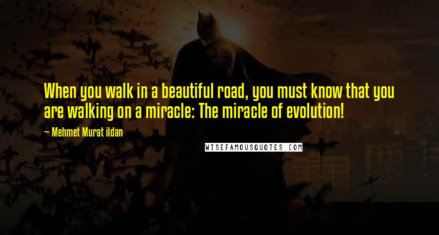 Mehmet Murat Ildan Quotes: When you walk in a beautiful road, you must know that you are walking on a miracle: The miracle of evolution!