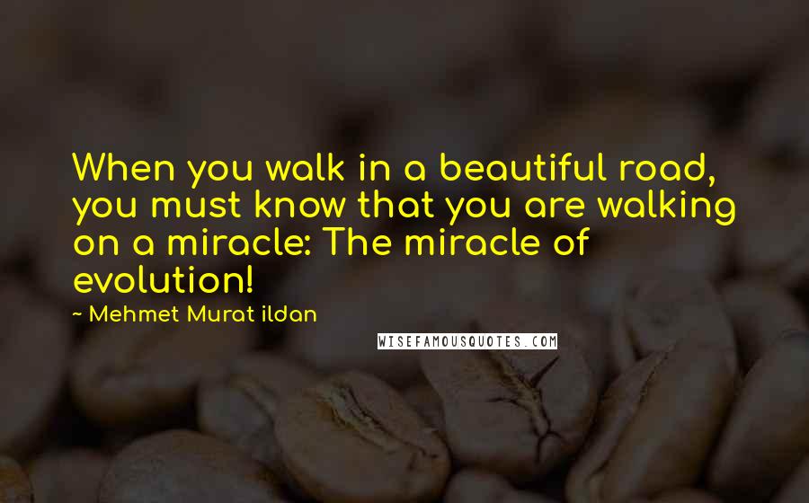 Mehmet Murat Ildan Quotes: When you walk in a beautiful road, you must know that you are walking on a miracle: The miracle of evolution!