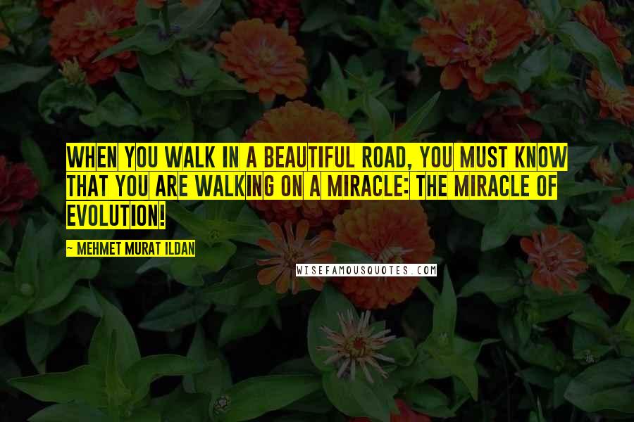 Mehmet Murat Ildan Quotes: When you walk in a beautiful road, you must know that you are walking on a miracle: The miracle of evolution!