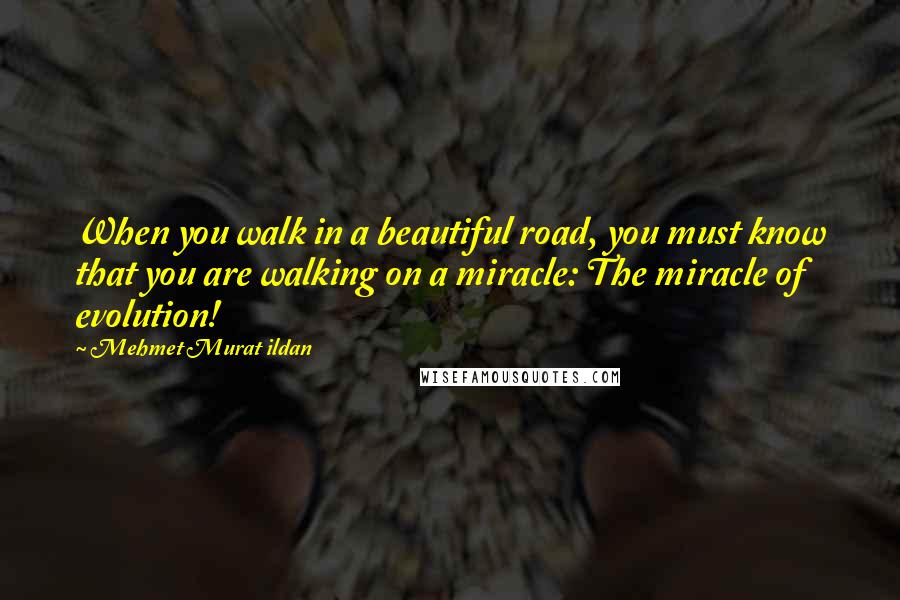 Mehmet Murat Ildan Quotes: When you walk in a beautiful road, you must know that you are walking on a miracle: The miracle of evolution!