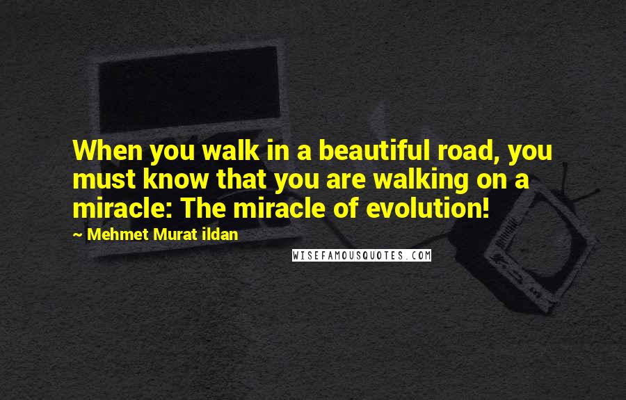 Mehmet Murat Ildan Quotes: When you walk in a beautiful road, you must know that you are walking on a miracle: The miracle of evolution!