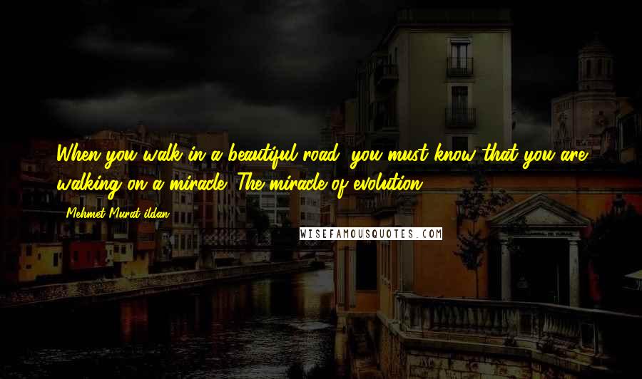 Mehmet Murat Ildan Quotes: When you walk in a beautiful road, you must know that you are walking on a miracle: The miracle of evolution!