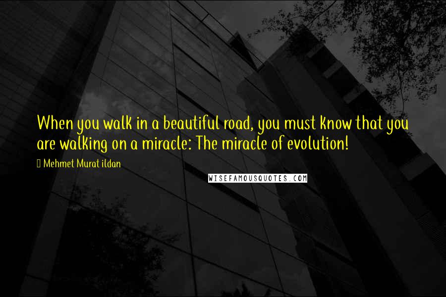 Mehmet Murat Ildan Quotes: When you walk in a beautiful road, you must know that you are walking on a miracle: The miracle of evolution!