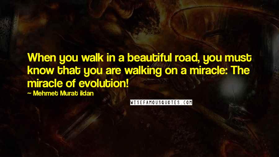 Mehmet Murat Ildan Quotes: When you walk in a beautiful road, you must know that you are walking on a miracle: The miracle of evolution!