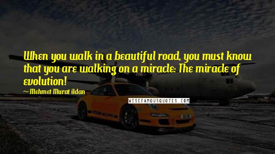 Mehmet Murat Ildan Quotes: When you walk in a beautiful road, you must know that you are walking on a miracle: The miracle of evolution!