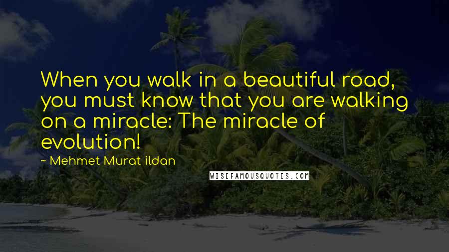 Mehmet Murat Ildan Quotes: When you walk in a beautiful road, you must know that you are walking on a miracle: The miracle of evolution!