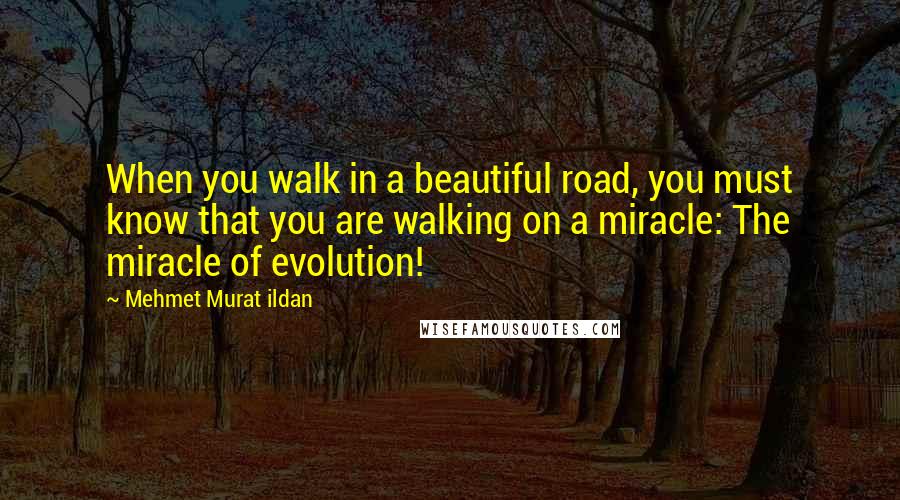 Mehmet Murat Ildan Quotes: When you walk in a beautiful road, you must know that you are walking on a miracle: The miracle of evolution!