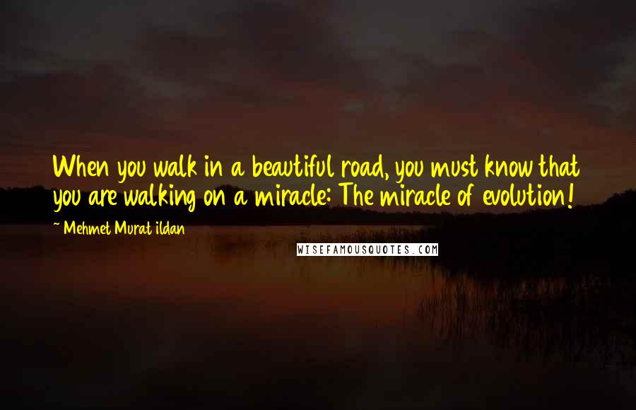 Mehmet Murat Ildan Quotes: When you walk in a beautiful road, you must know that you are walking on a miracle: The miracle of evolution!