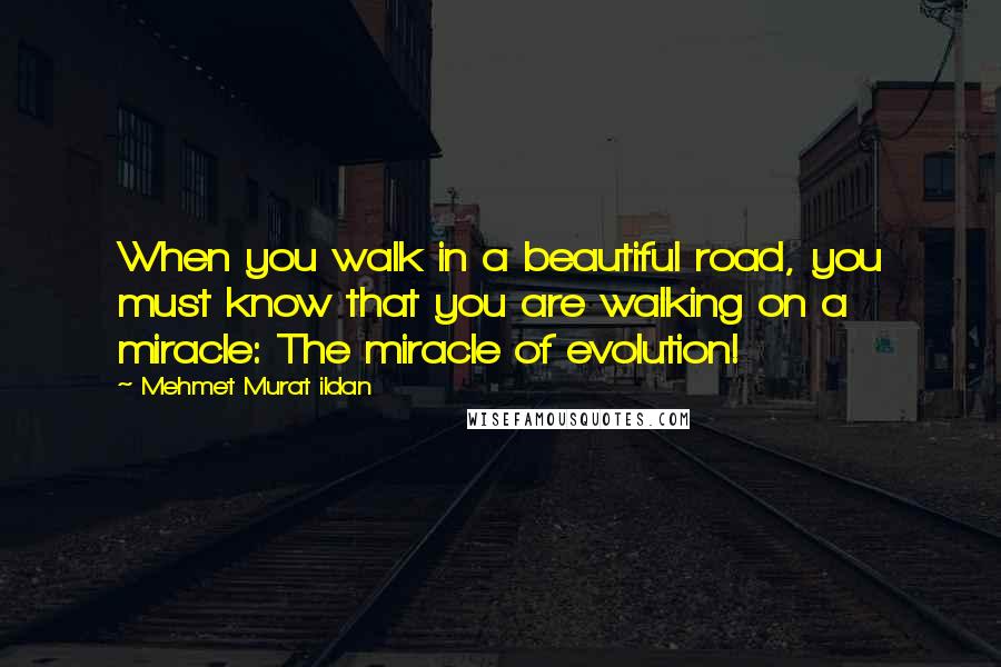 Mehmet Murat Ildan Quotes: When you walk in a beautiful road, you must know that you are walking on a miracle: The miracle of evolution!