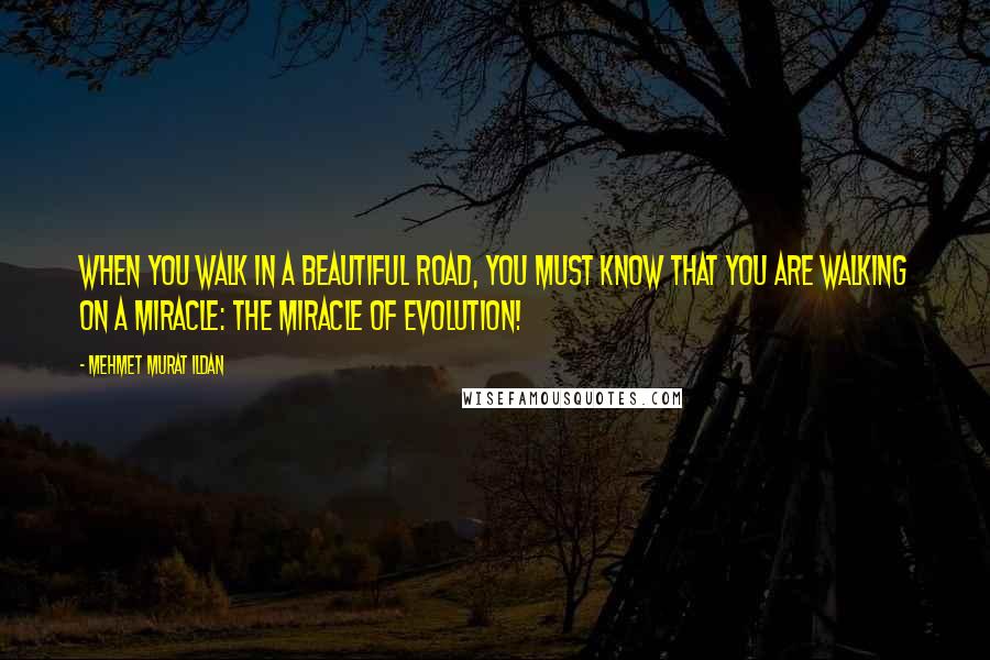 Mehmet Murat Ildan Quotes: When you walk in a beautiful road, you must know that you are walking on a miracle: The miracle of evolution!