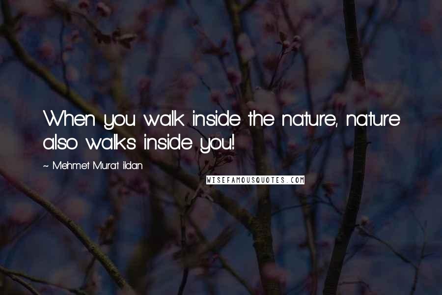 Mehmet Murat Ildan Quotes: When you walk inside the nature, nature also walks inside you!