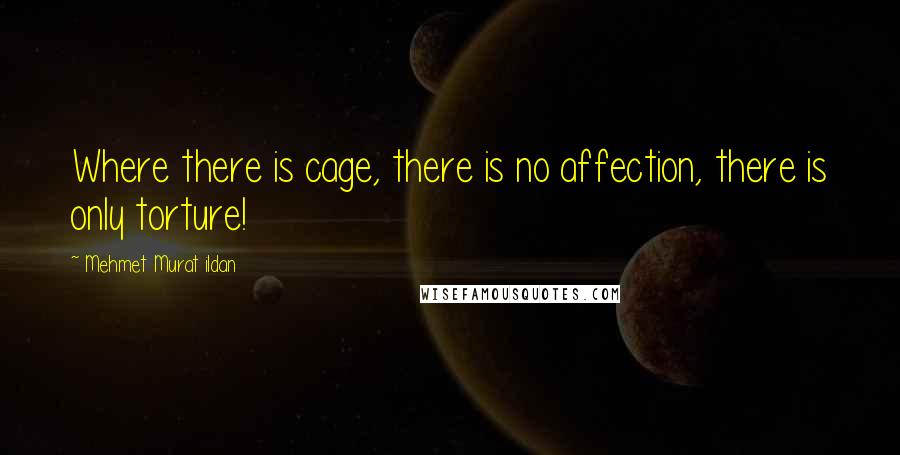 Mehmet Murat Ildan Quotes: Where there is cage, there is no affection, there is only torture!