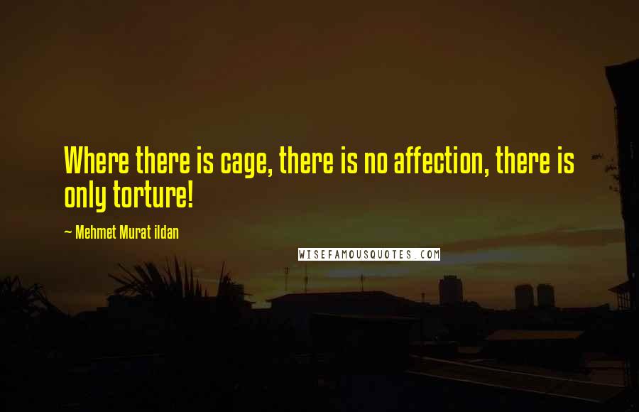 Mehmet Murat Ildan Quotes: Where there is cage, there is no affection, there is only torture!