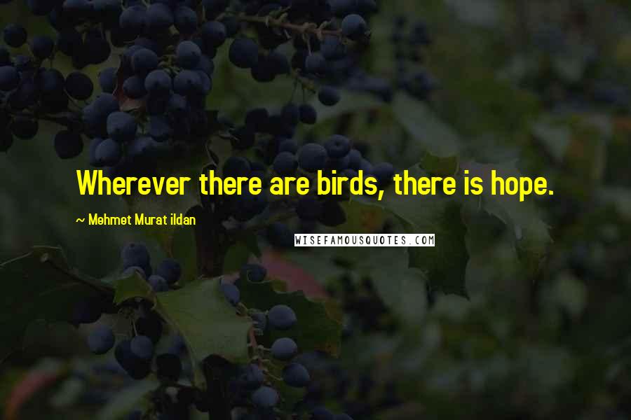 Mehmet Murat Ildan Quotes: Wherever there are birds, there is hope.