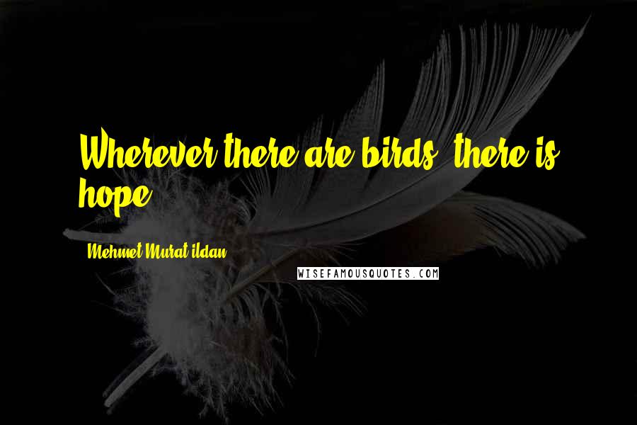 Mehmet Murat Ildan Quotes: Wherever there are birds, there is hope.