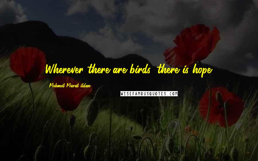 Mehmet Murat Ildan Quotes: Wherever there are birds, there is hope.