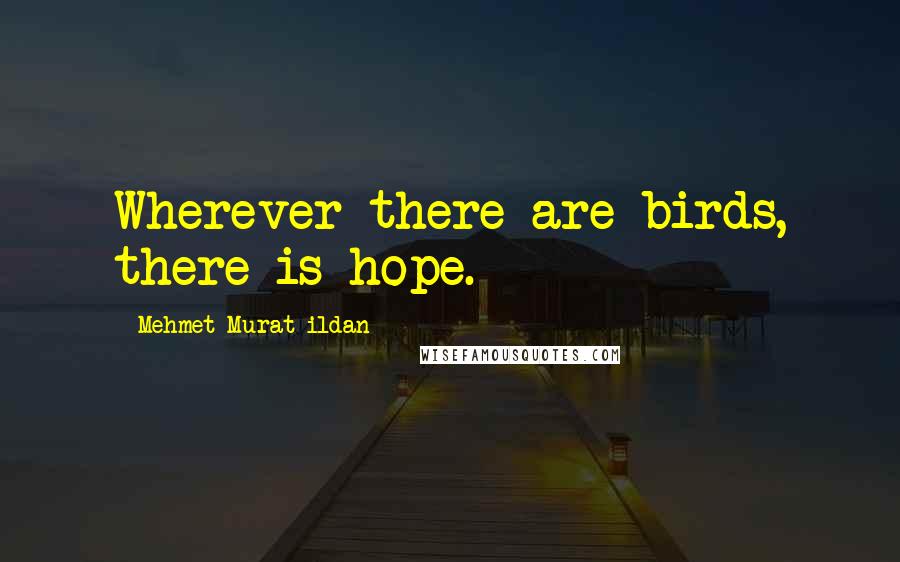 Mehmet Murat Ildan Quotes: Wherever there are birds, there is hope.