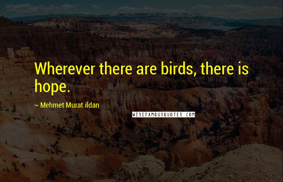 Mehmet Murat Ildan Quotes: Wherever there are birds, there is hope.