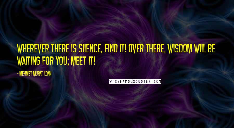 Mehmet Murat Ildan Quotes: Wherever there is silence, find it! Over there, wisdom will be waiting for you; meet it!
