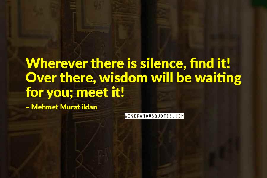 Mehmet Murat Ildan Quotes: Wherever there is silence, find it! Over there, wisdom will be waiting for you; meet it!