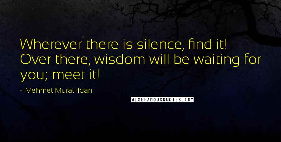 Mehmet Murat Ildan Quotes: Wherever there is silence, find it! Over there, wisdom will be waiting for you; meet it!