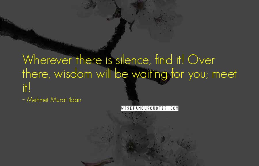 Mehmet Murat Ildan Quotes: Wherever there is silence, find it! Over there, wisdom will be waiting for you; meet it!