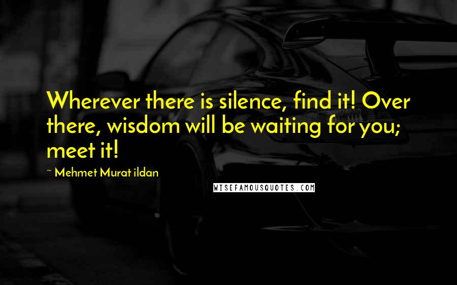 Mehmet Murat Ildan Quotes: Wherever there is silence, find it! Over there, wisdom will be waiting for you; meet it!